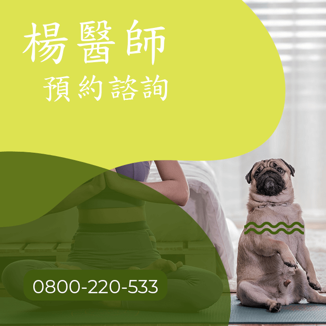 台中瘦腿
